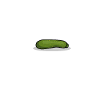 Zucchini