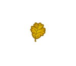 Yellow Fall Leaf