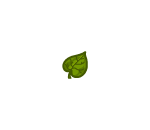 Green Fall Leaf
