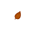 Orange Fall Leaf
