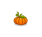 Plump Pumpkin