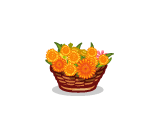 Basket of Marigolds