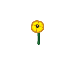 Yellow Poppy Flower