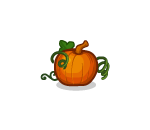 Orangy Pumpkin