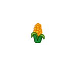 Ear of Delicious Yellow Corn