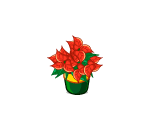 Green Potted Poinsettia