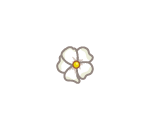 White Spa Flower