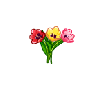 Spring Flowers medley