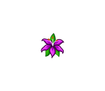 Hawaiian Purple