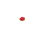 Stemless Red Rose