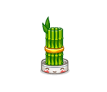 Lucky Bamboo