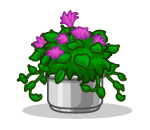 Floral Potted Plant
