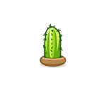 Saguaro Cactus Nursling