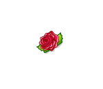 Fiesta Rose