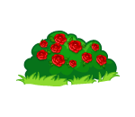 Pretty Red Rose Bush 