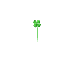 Singular Clover