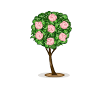 Pink Rose Topiary