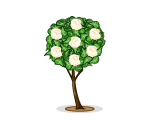 White Rose Topiary