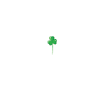 Mini Common Clover