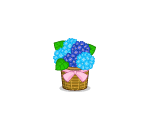Basket of Hydrangea Flowers