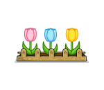 Tulip Garden Box