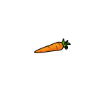Delicious Organic Carrot