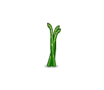 Green Asparagus