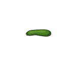 Organic Zucchini