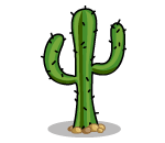 Ringleader Cactus