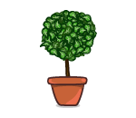 Potted Topiary