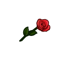 Velvety Red Rose