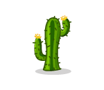 Super Skewed Pointy Cactus