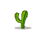 Super Small Pointy Cactus