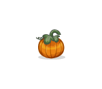 Mini Pumpkin