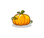 Vibrantly Plump Pumpkin