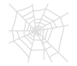 Partly Finished Spider Web