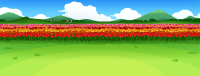 Fields of Tulips and Skies of Love
