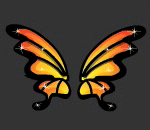 Sparkling Orange Butterfly Wings