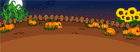 Night at the Pumpkin Patch