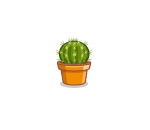 Sweet Little Cactus