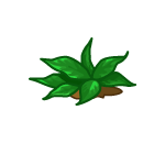 Leafy Temple Plant