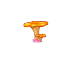 Tangy Orange Mushroom