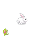 Spring Forward White Bunny