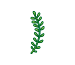 Greeny Fern