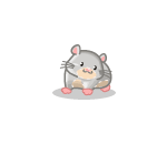 Sammie the Hamster