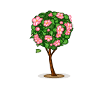 Tranquil Cherry Blossom Topiary
