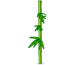 Petdive Island Bamboo (club)